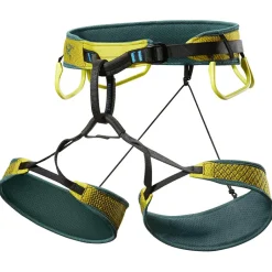 Arc'teryx - Skaha Harness - Klettergurt Lampyre / Boxcar Sale