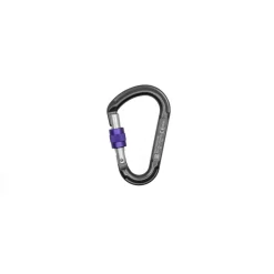 Online Beal - Be Lock Screw - Schraubkarabiner