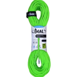 Beal - Gully 7,3 - Halbseil Best