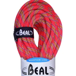 Beal - Tiger 10 mm Golden Dry - Einfachseil Orange
