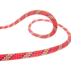 Beal - Tiger 10 mm Golden Dry - Einfachseil Orange