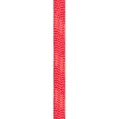 Beal - Wall Cruiser 9,6 mm - Einfachseil Hot