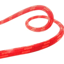 Beal - Wall Cruiser 9,6 mm - Einfachseil Hot