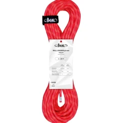 Beal - Wall Cruiser 9,6 mm - Einfachseil Hot