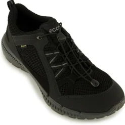 Clearance - Terracruise II GTX - Multisportschuhe Freizeitschuhe|Multisportschuhe