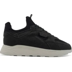 New - Larch - Sneaker Sneaker|Sneaker