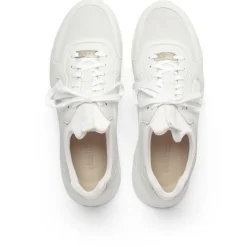 New - Larch - Sneaker Sneaker|Sneaker