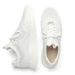 New - Larch - Sneaker Sneaker|Sneaker