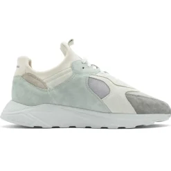 New - Larch - Sneaker Sneaker|Sneaker