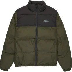 Element - Classic Puffer - Kunstfaserjacke New