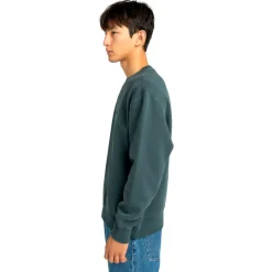 Element - Lowcase Pigment Crew - Pullover Outlet
