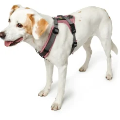 Discount Hunter - Maldon Up - Hundegeschirr
