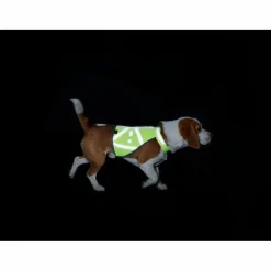 Discount - Warnweste reflektierend - Hundemantel Hundemäntel