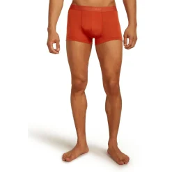 Outlet Icebreaker - Merino 125 Cool-Lite Anatomica Trunks - Merinounterwäsche