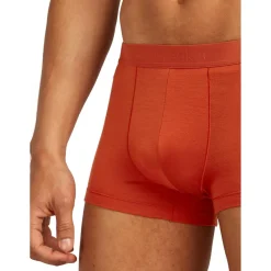 Outlet Icebreaker - Merino 125 Cool-Lite Anatomica Trunks - Merinounterwäsche