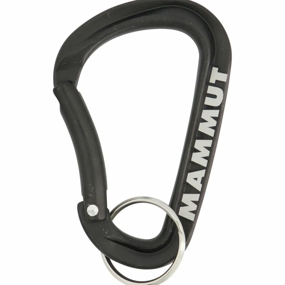 New - Mini Carabiner Workhorse - Materialkarabiner Karabiner & Express-Sets