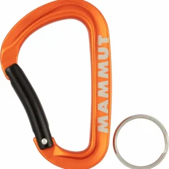 New - Mini Carabiner Workhorse - Materialkarabiner Karabiner & Express-Sets