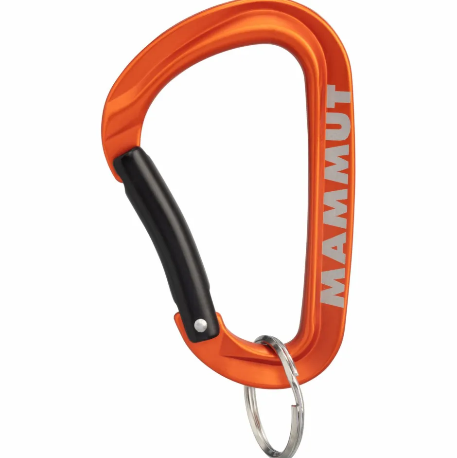 New - Mini Carabiner Workhorse - Materialkarabiner Karabiner & Express-Sets