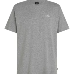O'Neill - Small Logo T-Shirt - T-Shirt Hot