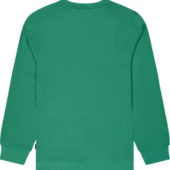 Picture - Essential Crew - Pullover New