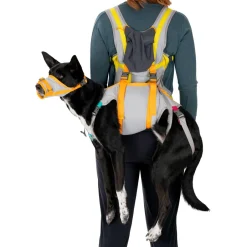 Ruffwear - BackTrak Dog Evacuation Kit - Hundezubehör Cloudburst Gray Hot
