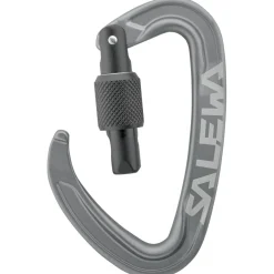 Best Salewa - Ortles Screw Carabiner - Schraubkarabiner