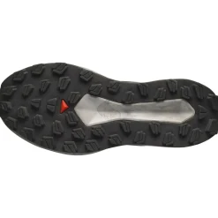 Best Salomon - Vision - Trailrunningschuhe Vanilla Ice / Lunar Rock / Black