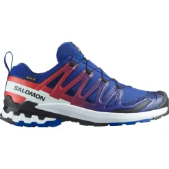 Salomon - XA Pro 3D V9 GORE-TEX Equipe - Multisportschuhe Surf The Web / Fiery Red / White New