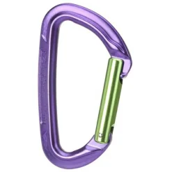 Wild Country - Session Straight Gate - Schnappkarabiner Online
